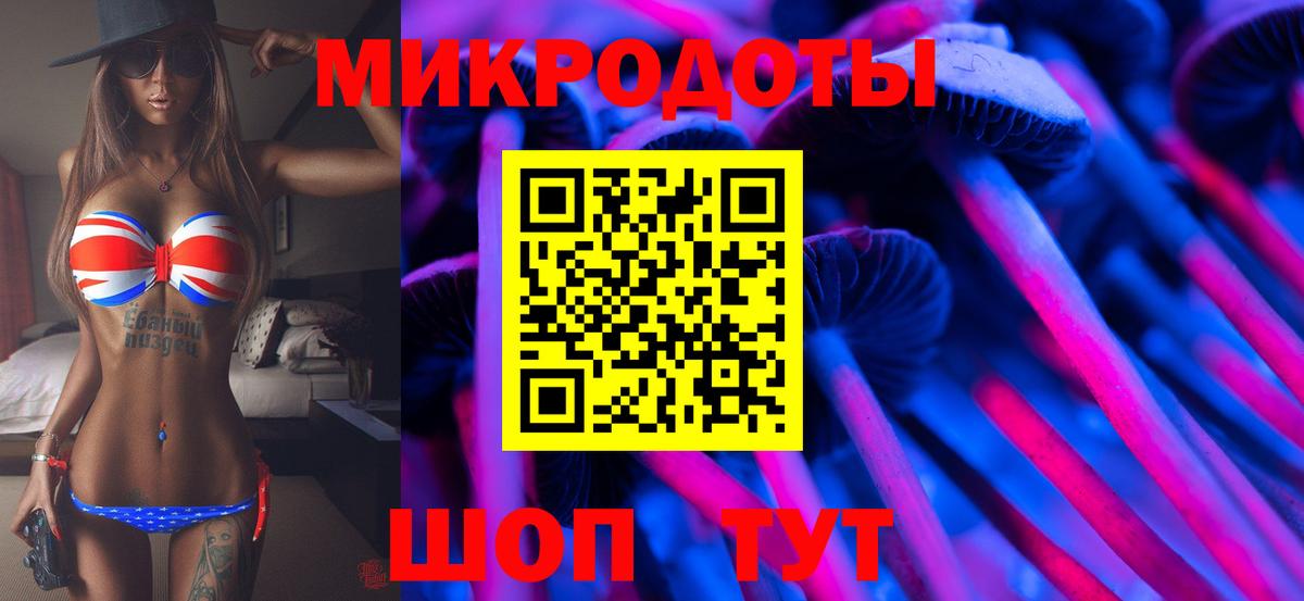 Псилоцибиновые грибы Psilocybe  Вход с VPN  Псилоцибиновые грибы прущие грибы  Уварово 